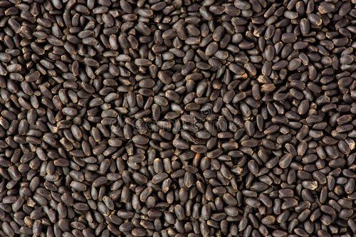 Basil Seeds